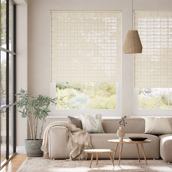 cortinas roller screen